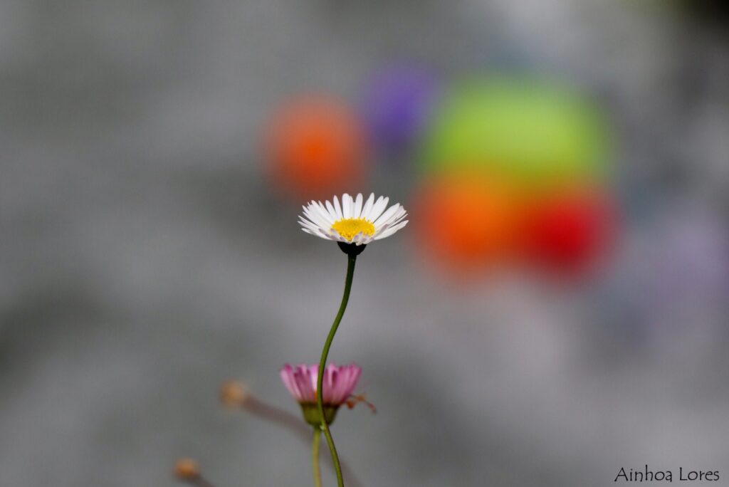 Udako oporrak hartuko ditugu, irailean informazio gehiagorekin itzuliko gara