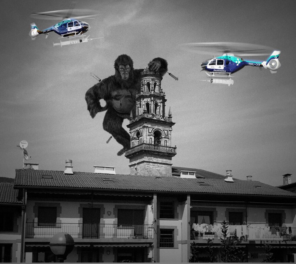 Bueltan da Elorrioko ‘24 Ordu Digitalean’ lehiaketa