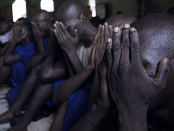 Kimuak 2019 katalogoko film laburren lehenengo proiekzioak Donostian eta Bilbon