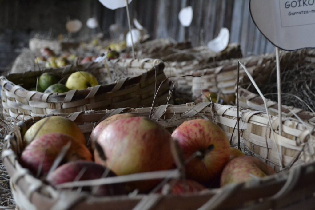 Sagardoaren munduko emakumeak ezagutzera ematen duen erakusketa Igartubeiti Baserri Museoan
