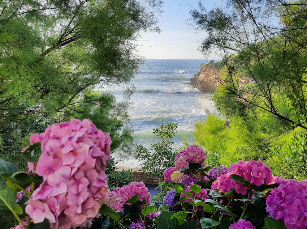 Udako oporrak hartuko ditugu, irailean informazio gehiagorekin itzuliko gara