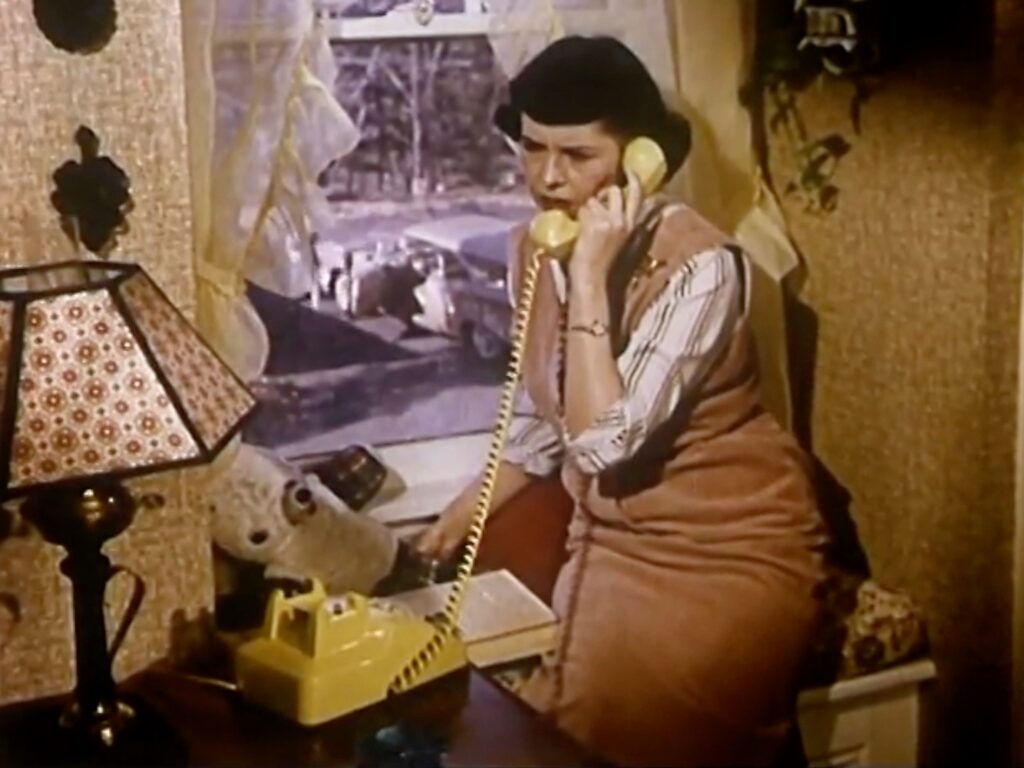 Zazpi lanek osatuko dute Kimuak-eko katalogo berria