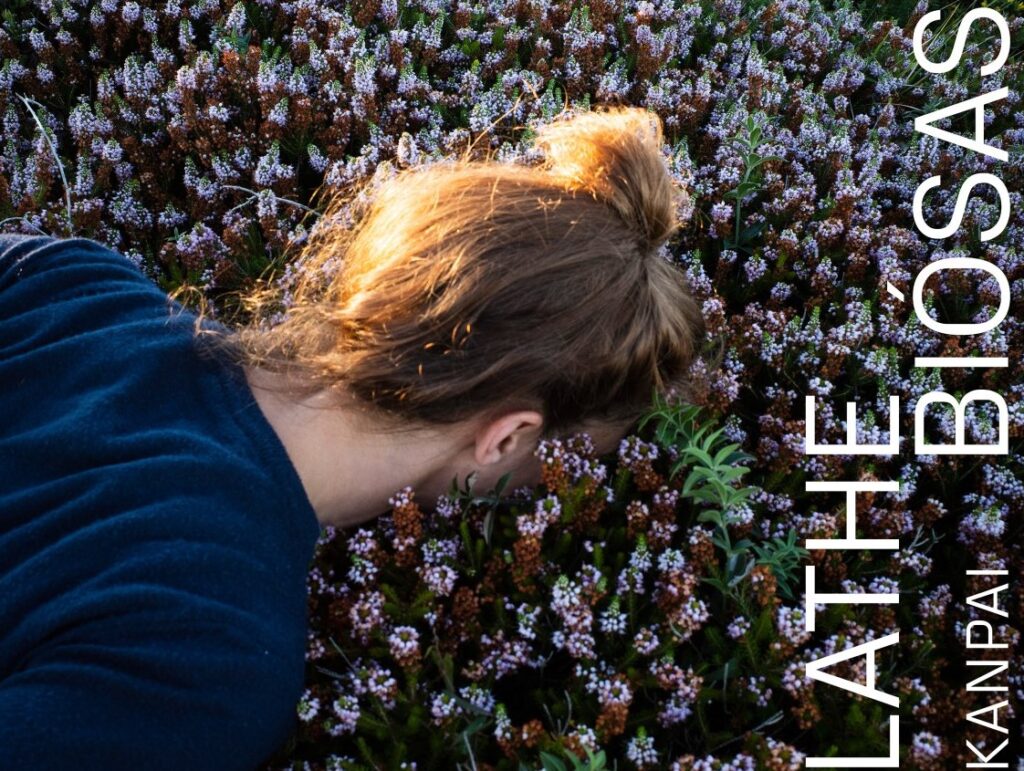 ‘Lathe Biósas’ dantza ikuskizunaren estreinaldia asteazkenean eta ostegunean Arriagan