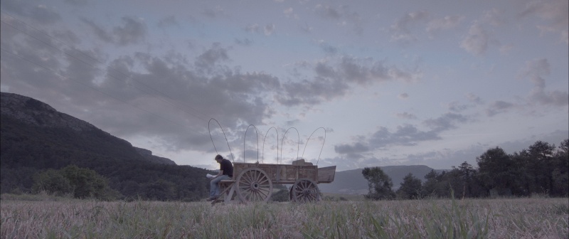 17 euskal ekoizpen izango dira Donostiako 69. Zinemaldian
