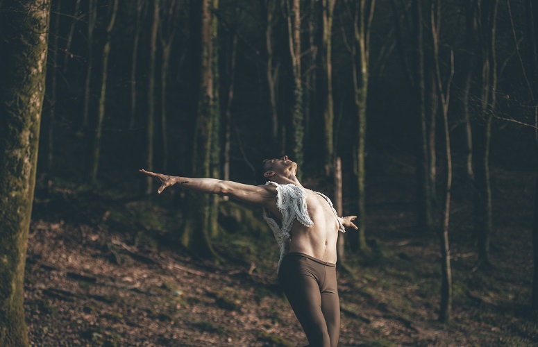 Mikel Laboaren Txoria txori kantua abiapuntu hartuta izen bereko erakusketa paratu dute Donostian