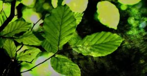 Ensemble 0 taldeak 'Pozgarria da' kanta eta bideoklipa aukeztu ditu