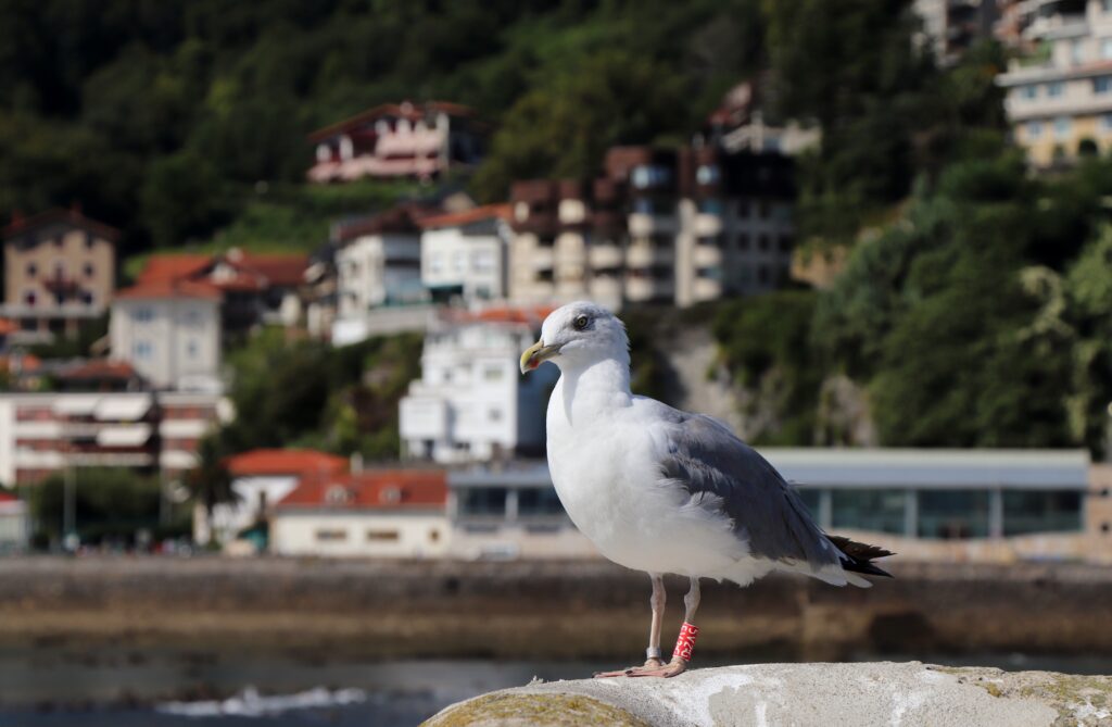 Udako oporrak hartuko ditugu, irailean informazio gehiagorekin itzuliko gara
