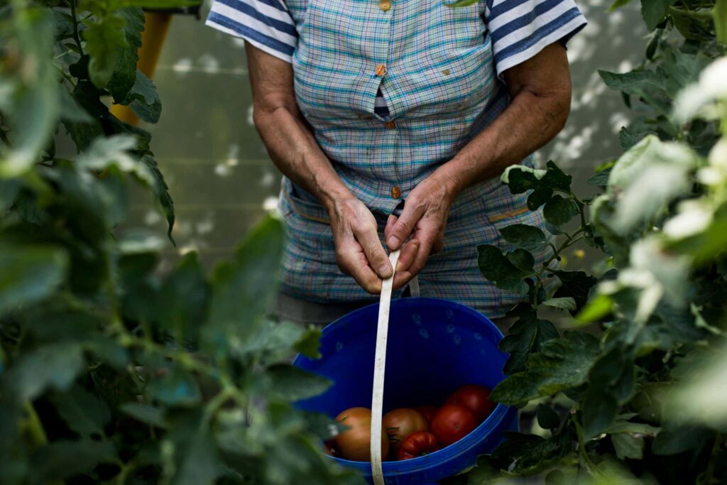Estitxu Ortolaiz argazkilariaren ‘Haziya’ erakusketa paratu dute Donostian