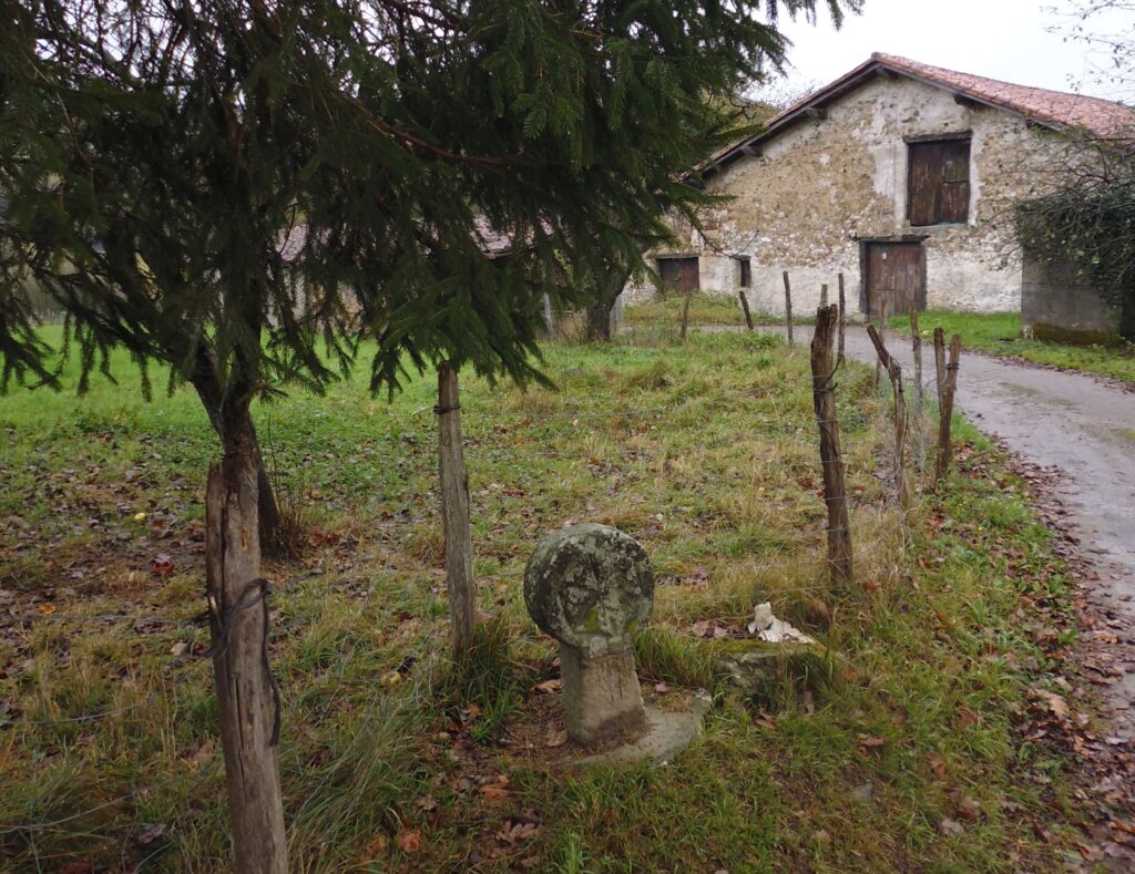 ‘Disko formako hilarrien inbentarioa Gipuzkoan, 2021’ argitaratu du Donostiako San Telmo Museoak