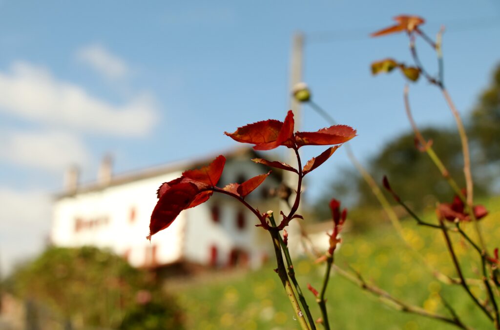Udako oporrak hartuko ditugu, irailean informazio gehiagorekin itzuliko gara