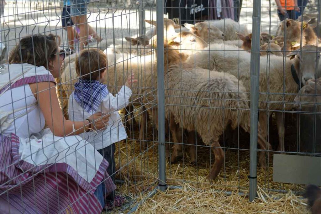 Euskal jaiak antolatu dituzte hilaren 12tik 21era Hernanin