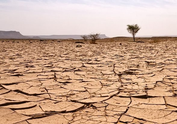 “Klima aldaketa” da aurtengo hitza Euskaltzaindia eta UZEIren arabera
