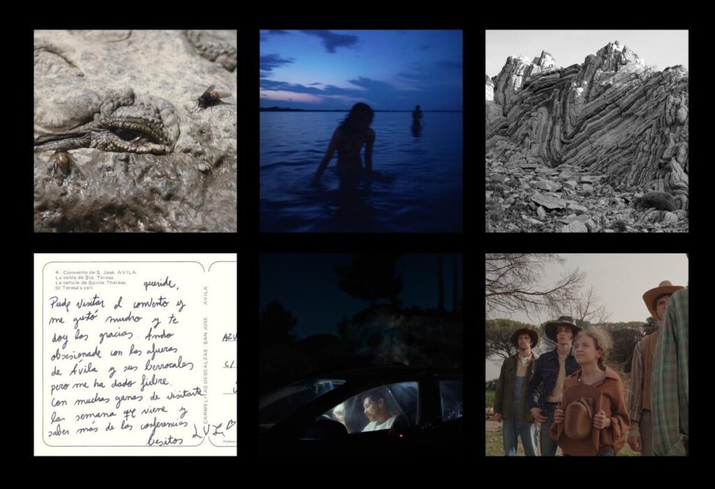 Ikusmira Berriak programarako sei artistak aukeratu dituzte