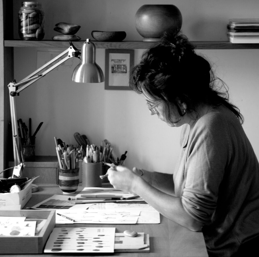 Nerea Urrestarazu artistaren erakusketa paratu dute Donostiako Ilustratzailearen Txokoan