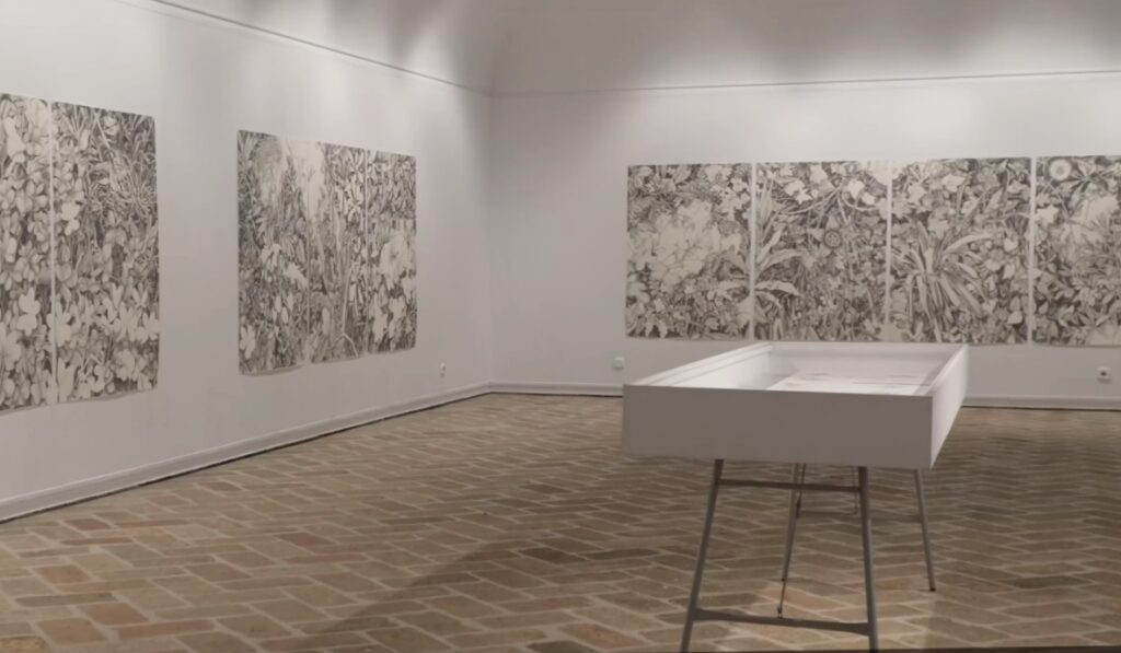 Virginia Santos Itoiz artistak Iruñeko Ziudadelako Bolborategia zuri-beltzeko lorategi bihurtu du