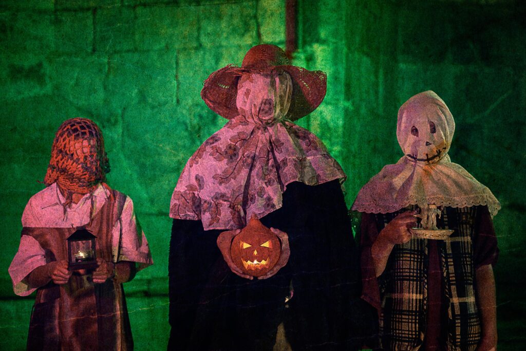 Taupak Gau Beltzaren inguruko doako online formazio saioa eskainiko du urriaren 22an