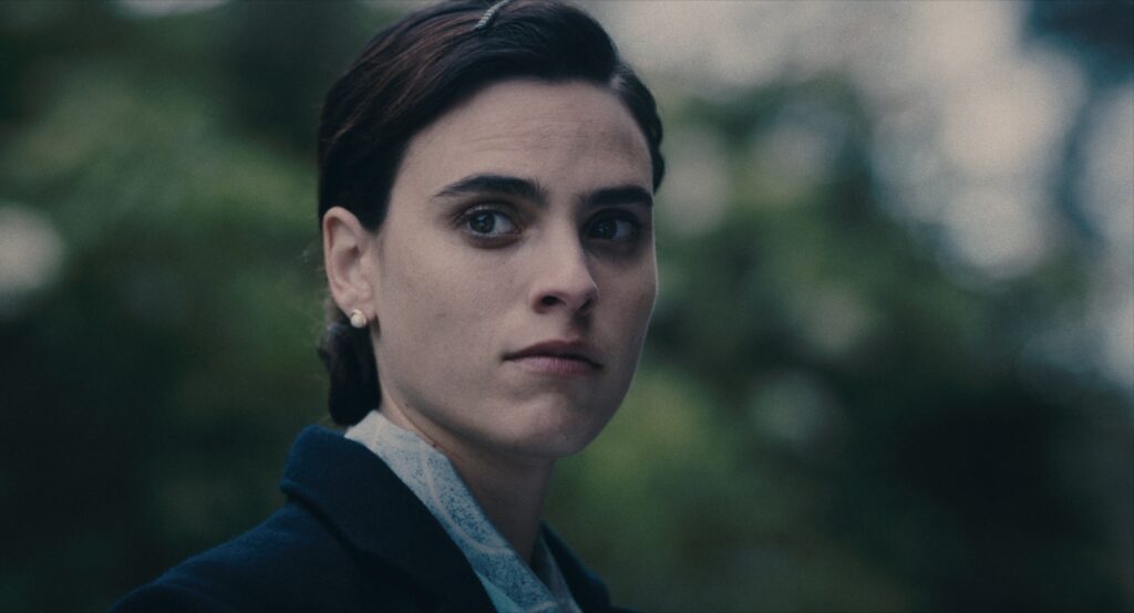 Zinegin euskal zinemaldia azaroaren 20tik 23ra egingo dute, Hazparnen